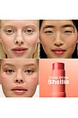 view 7 of 10 Juice Stick Cream Blush in Shellie