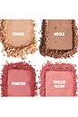 view 2 of 7 PALETTE DE BLUSH CHEEK BUDS LIMITED EDITION SPRING PALETTE in 