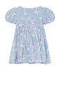 view 2 of 4 MINIVESTIDO MERCER DITSY in Blue Floral