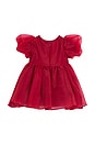 view 2 of 6 Juliet Organza Mini Dress in Burgundy
