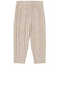 view 2 of 2 Ccl Toddler Cable Pant in Stone
