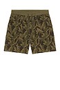 view 4 of 4 SHORT in Camo