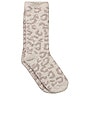 view 1 of 1 НОСКИ COZYCHIC BAREFOOT in Cream & Stone