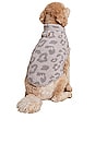 view 4 of 4 CozyChic Barefoot In The Wild Pet Sweater in Linen & Warm Gray