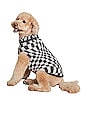 view 5 of 5 CozyChic Checkered Pet Sweater in Carbon & Silver