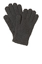 view 1 of 1 ПЕРЧАТКИ COZYCHIC GLOVES in Carbon
