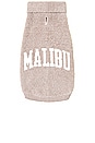view 1 of 5 CozyChic Malibu Pet Sweater in Taupe & Cream