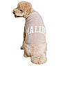 view 5 of 5 CozyChic Malibu Pet Sweater in Taupe & Cream