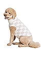 view 4 of 6 CozyCotton Checkerboard Pet Sweater in Oatmeal & Cream