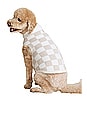 view 5 of 6 CozyCotton Checkerboard Pet Sweater in Oatmeal & Cream