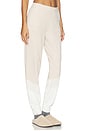 view 2 of 6 CozyChic Ultra Lite Wavy Jogger in Stone