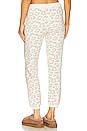 view 3 of 4 CozyChic Ultra Lite Track Pant in Cream & Stone