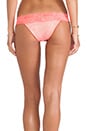 view 3 of 4 Mystic Shine Lady Lace Bottom in Coral & Nude