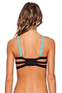 view 3 of 3 Endless Summer Push Up Bikini Top in Blue & Hot Pink & Black