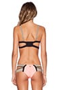 view 3 of 4 Endless Summer Push Up Bikini Top in Coral & Black