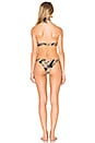 view 3 of 3 Basic Skimpy One Piece Swimsuit in Black Palm Print in Gold Foil Palm