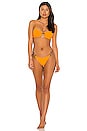 view 4 of 4 Lexi Tango Bikini Bottom in Soleil