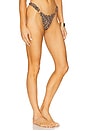 view 2 of 4 Love Tango Bikini Bottom in Leopard