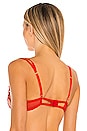 view 3 of 4 Tempest Bra in Red