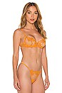 view 2 of 4 Marseille Bra in Orange