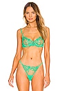 view 1 of 4 Marseille Bra in Green
