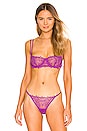 view 1 of 4 Audrey Bra in Purple