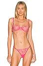 view 1 of 4 Celeste Bra in Fandango Pink & Sheer