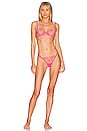 view 4 of 4 Celeste Bra in Fandango Pink & Sheer