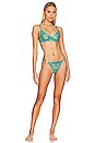 view 4 of 4 SOUTIEN-GORGE ISADORA in Columbia Green