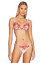 view 1 of 4 SOUTIEN-GORGE MARSEILLE in Tomato Red & Pale Pink