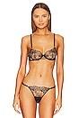 view 1 of 4 SOUTIEN-GORGE À ARMATURES ALULA in Black & Sheer