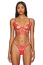 view 1 of 4 Aria Wired Bra in Cayenne Red