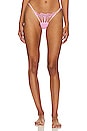 view 1 of 4 Sapphira Thong in Begonia Pink