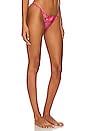 view 2 of 4 COLETTE ブリーフ in Fuchsia Pink & Orange