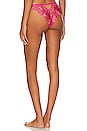 view 3 of 4 COLETTE ブリーフ in Fuchsia Pink & Orange