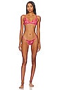 view 4 of 4 COLETTE ブリーフ in Fuchsia Pink & Orange