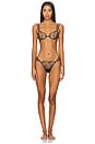 view 4 of 4 Marabel Thong in Black & Sheer