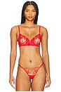view 1 of 4 Marseille Bra in Red