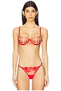 view 1 of 4 Rosalie Bra in Red & Sheer