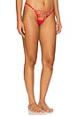 view 2 of 4 Rosalie Thong in Red & Sheer