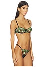 view 2 of 4 Odette Bra in Black & Summer Green
