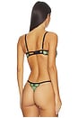 view 3 of 4 Odette Bra in Black & Summer Green