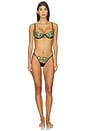 view 4 of 4 Odette Bra in Black & Summer Green