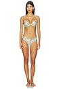 view 4 of 4 Leonora Bra in Island Paradise Blue & Sheer