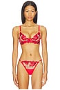 view 1 of 4 SUJETADOR CON AROS LAVANYA in Red, Black & Sheer
