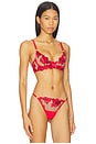 view 2 of 4 SUJETADOR CON AROS LAVANYA in Red, Black & Sheer