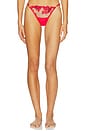 view 1 of 4 Lavanya Thong in Red, Black & Sheer
