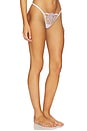 view 2 of 4 TANGA LEONARA in White & Sheer