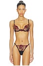 view 1 of 4 Malina Wired Bra in Black & Red