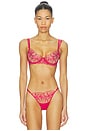 view 1 of 4 ARMATURE AMAROSA in Virtual Pink & Sheer